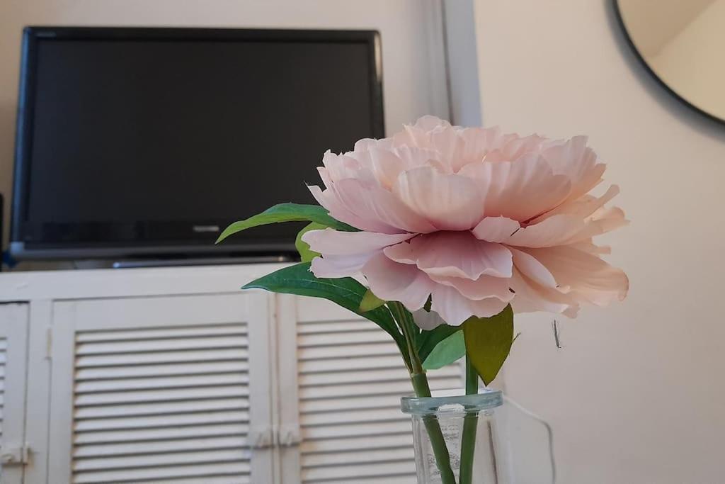 קארדיף Spacious 4 Bedroom, Free Netflix, Central Location מראה חיצוני תמונה